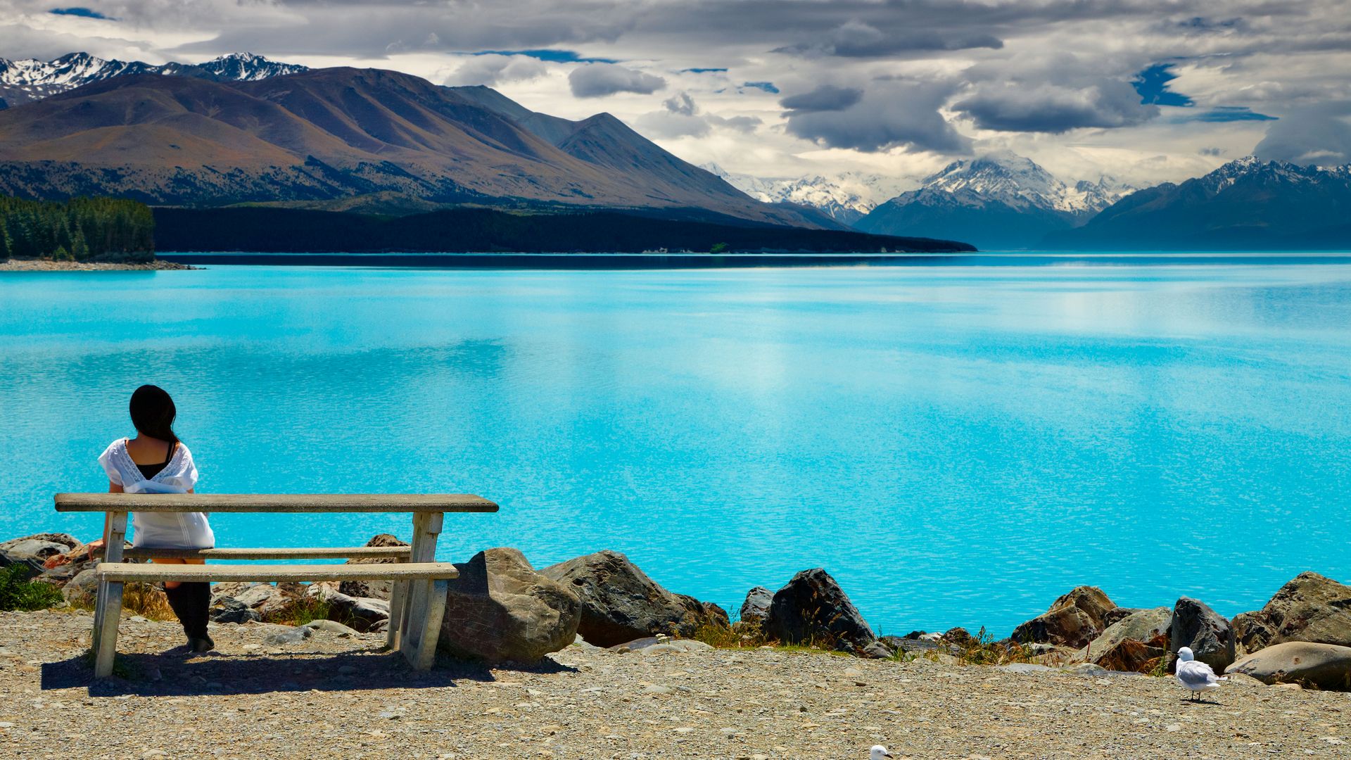 New Zealand Holiday & Self Drive Vacation Packages Pass